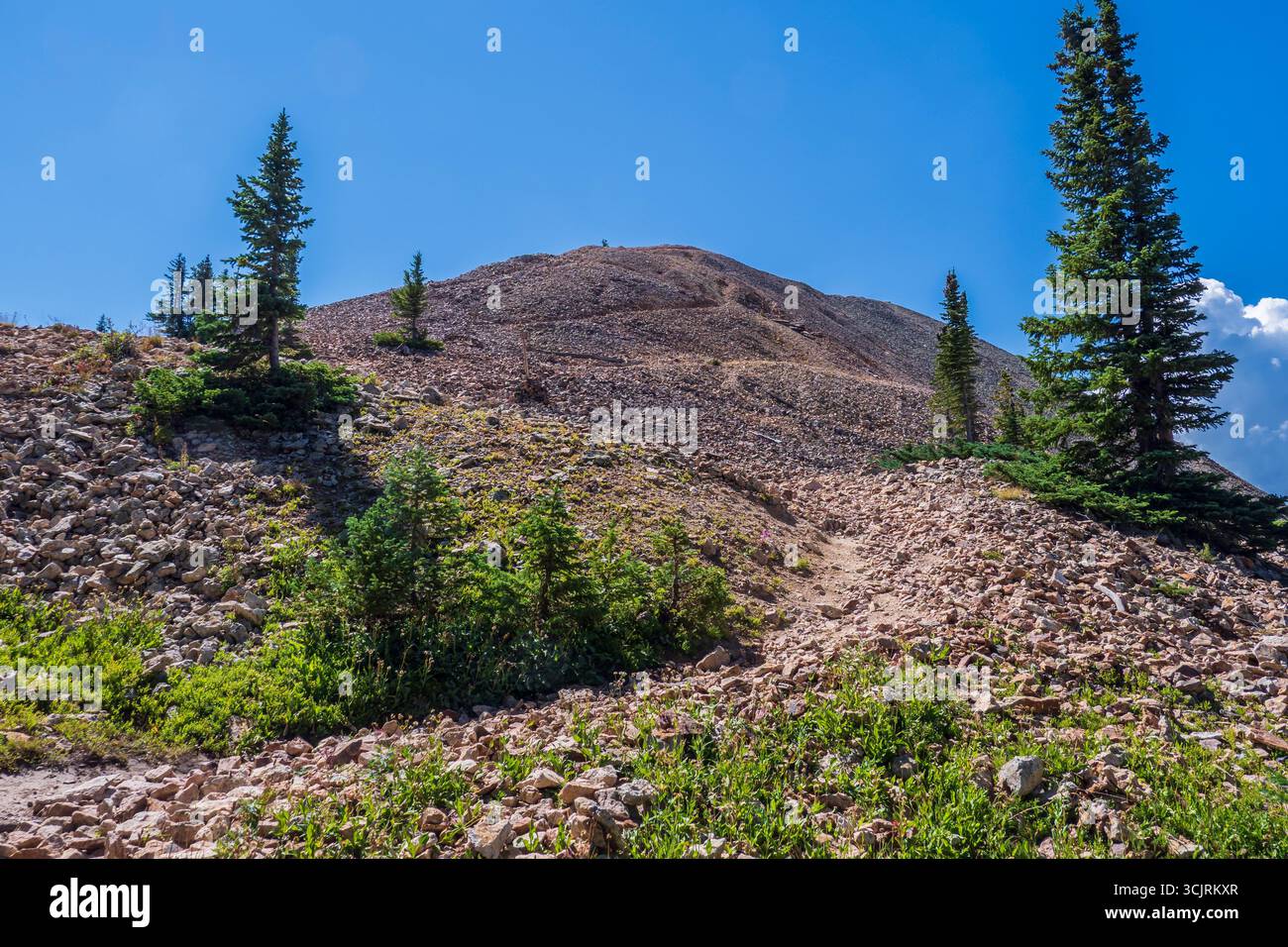 Sezione di talco, Hahn's Peak, Routt National Forest, Clark, Colorado. Foto Stock