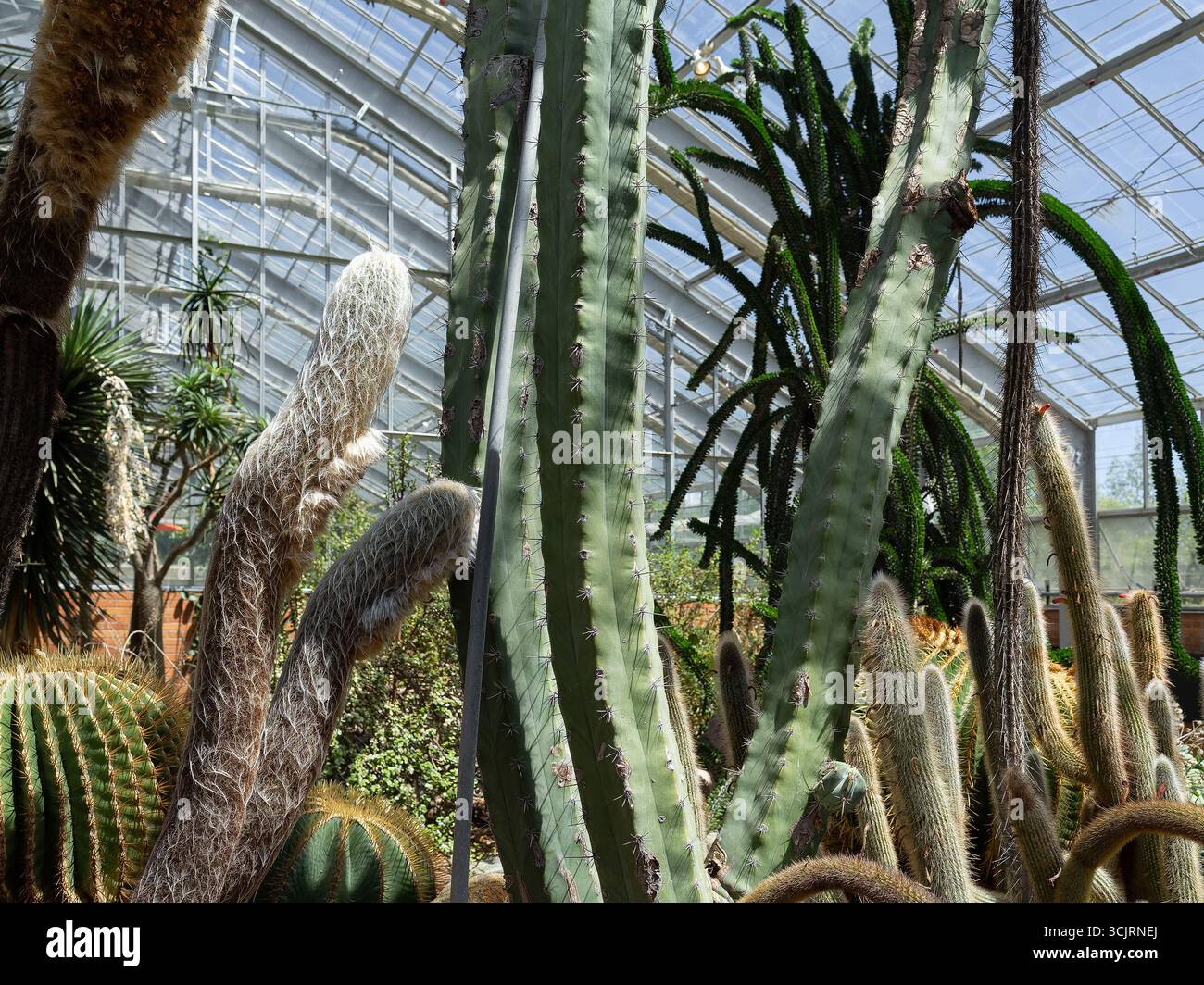 Giardini botanici Matthaei dell'Università del Michigan, ubicazione: Ann Arbor mi, architetto: Alden Dow Foto Stock