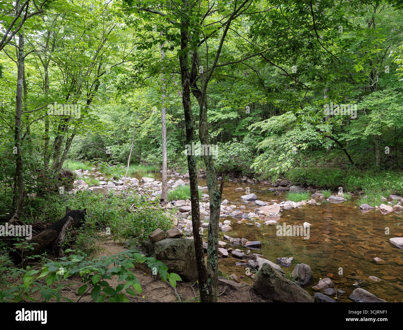 Hawn State Park, ubicazione: Ste. Genevieve, MO Foto Stock