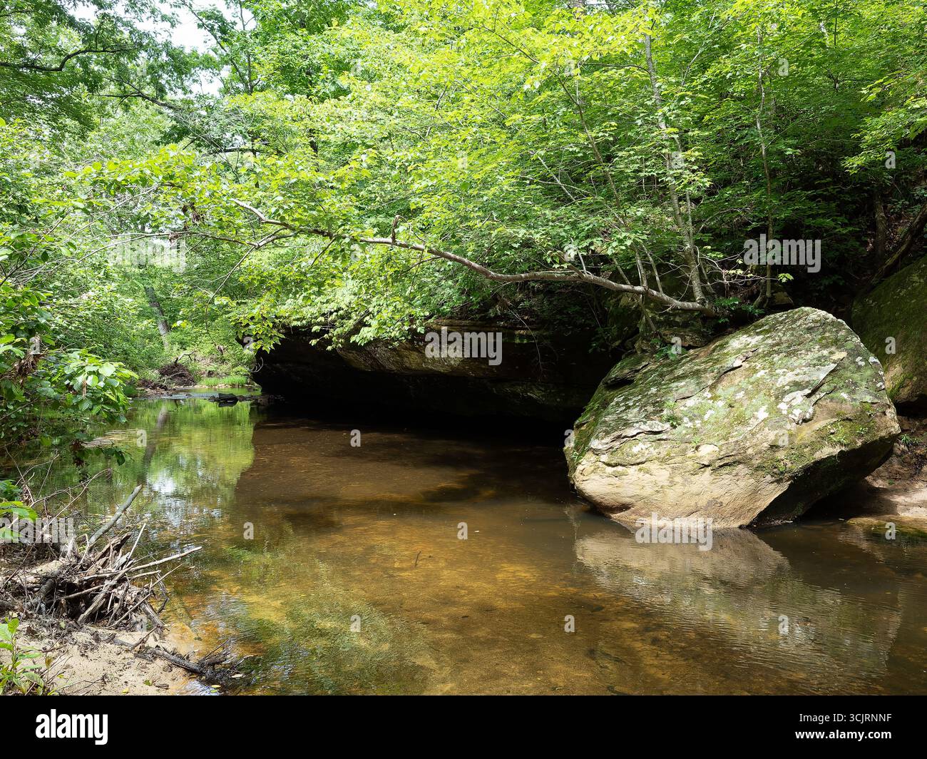 Hawn State Park, ubicazione: Ste. Genevieve, MO Foto Stock