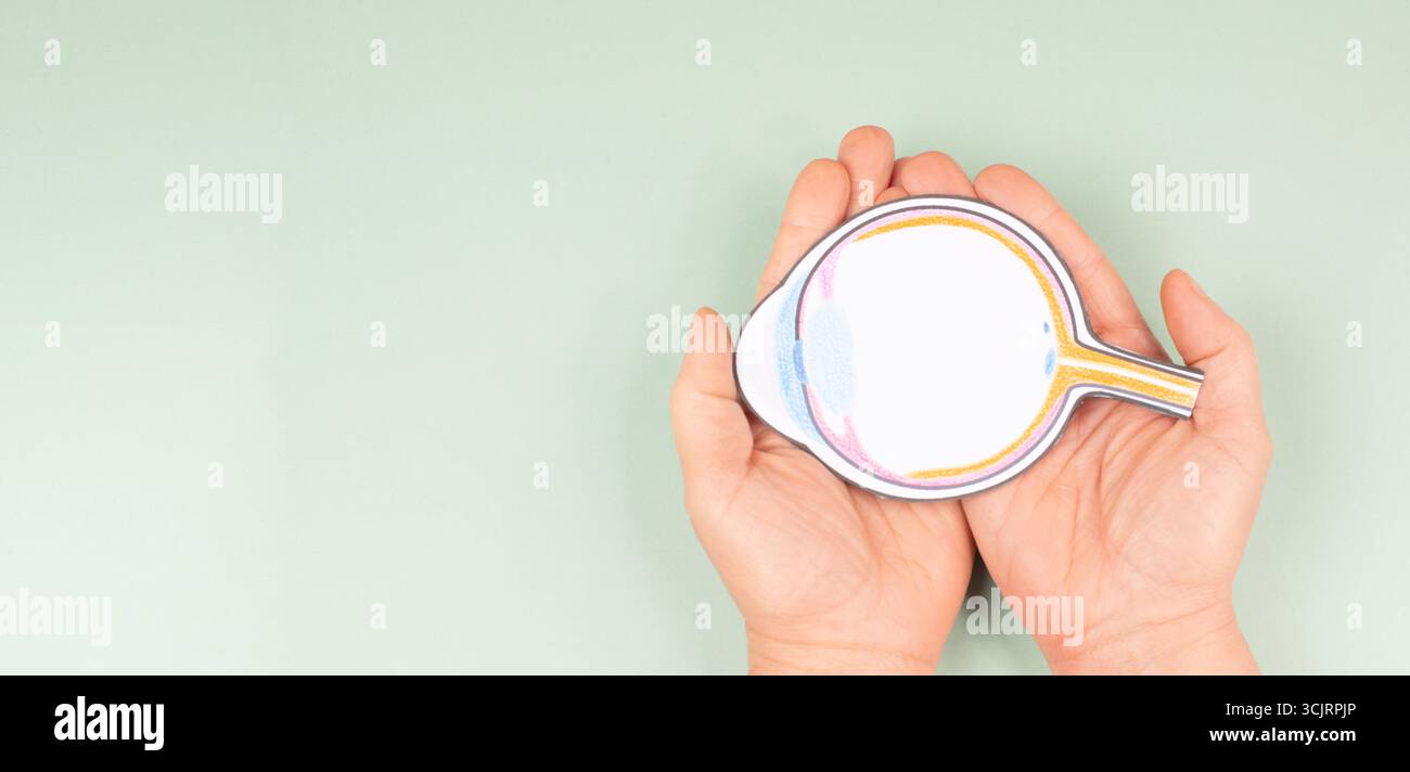 Occhio umano con pupilla, retina, iride e nervo ottico, organo visivo, anatomia, parte del corpo, bulbo oculare Foto Stock