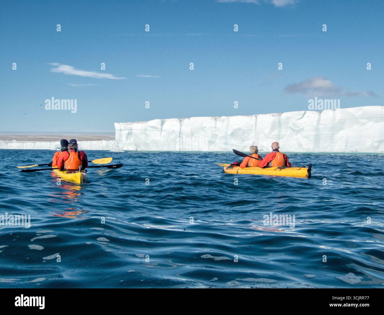 Kayakisti remano vicino al ghiacciaio Bråsvellbreen a Vibebukta Nordaustlandet Svalbard | NORDAUSTLANDET, Svalbard — Kayakisti in kayak tandem gialli remano su acque calme sotto l'imponente parete di ghiaccio del ghiacciaio Bråsvellbreen a Vibebukta. Bråsvellbreen è un emissario della calotta glaciale Austfonna, la più grande calotta glaciale dell'Artico eurasiatico, e gli operatori di tour d'esplorazione si avvicinano tipicamente alla sua fronte da sud-ovest, dove si formano lungo la parete rocciosa le più grandi cascate di acque di scioglimento estive. Foto Stock