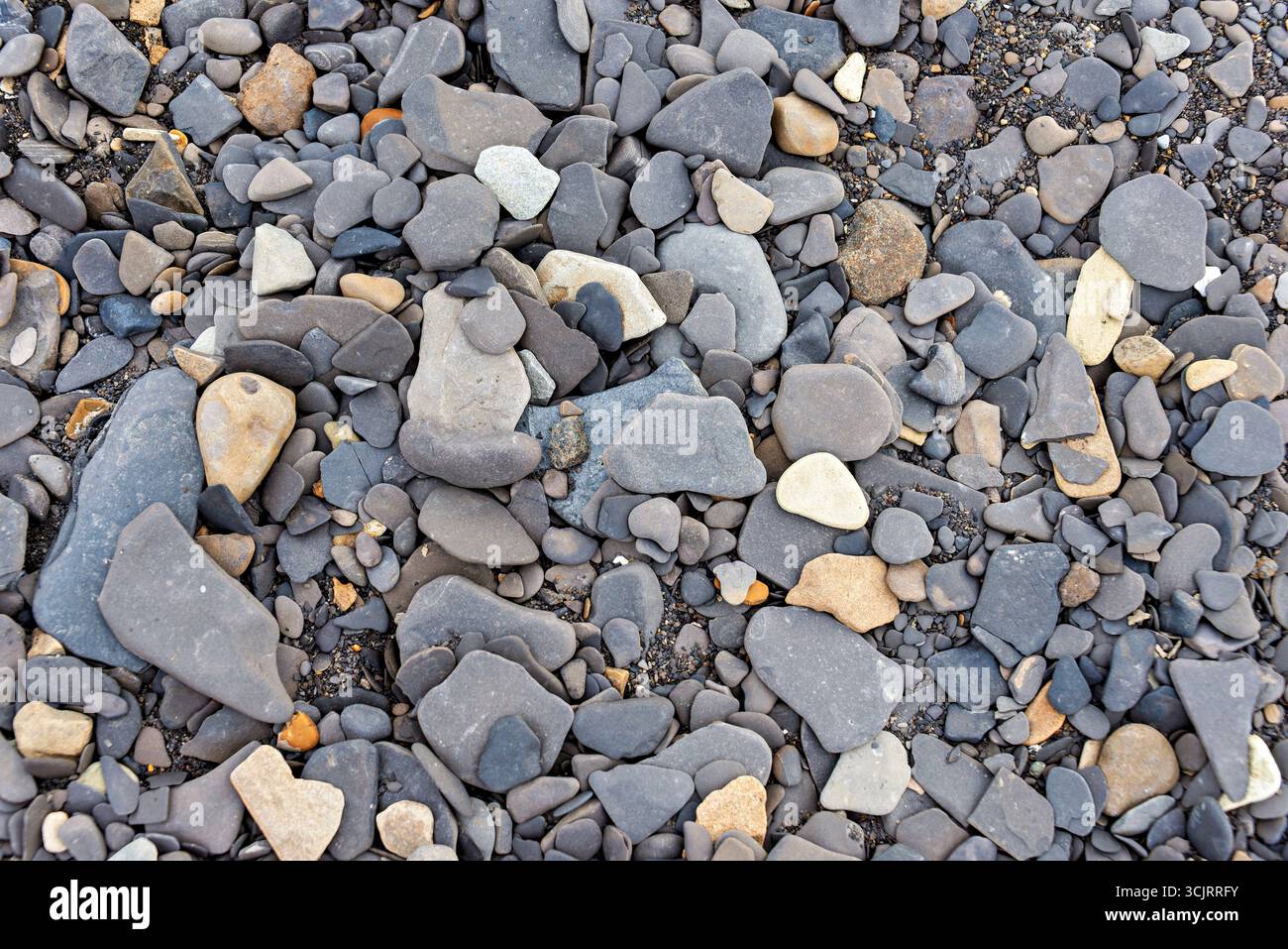 Kapp Waldburg Barents Island Arcipelago delle Svalbard Norvegia // ARCIPELAGO DELLE SVALBARD, Norvegia - Una vista ravvicinata mostra una collezione di pietre e ciottoli lisci e arrotondati su una spiaggia. Le pietre variano per dimensioni, forma e colore, che vanno dal grigio scuro e blu ai grigi più chiari, alle abbronzature e ai bianchi. Questo dettaglio geologico cattura gli elementi naturali che si trovano nell'ambiente artico delle Svalbard. L'arcipelago si trova nell'Oceano Artico ed è noto per i suoi paesaggi suggestivi e la fauna selvatica. Foto Stock