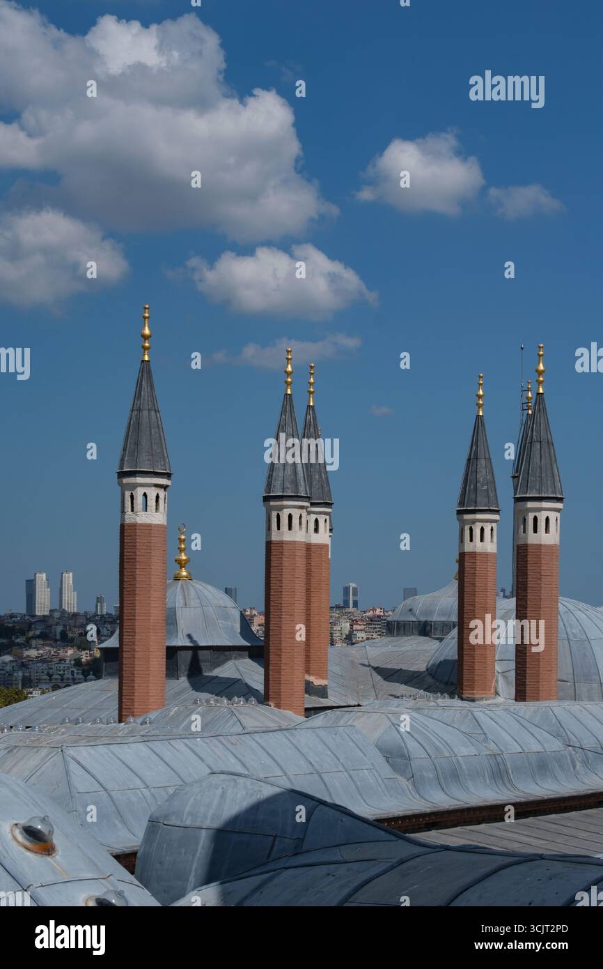 Camini del palazzo Harem di Topkapı con nuvole bianche dall'alto nel quartiere Fatih di Istanbul, Turchia Foto Stock