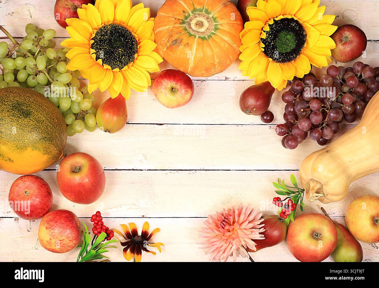 Contesto del Ringraziamento, concetto di raccolta, composizione autunnale con frutti, bacche naturali, cocomeri, meloni, frumento, mele, fiori e orecchie di whea Foto Stock