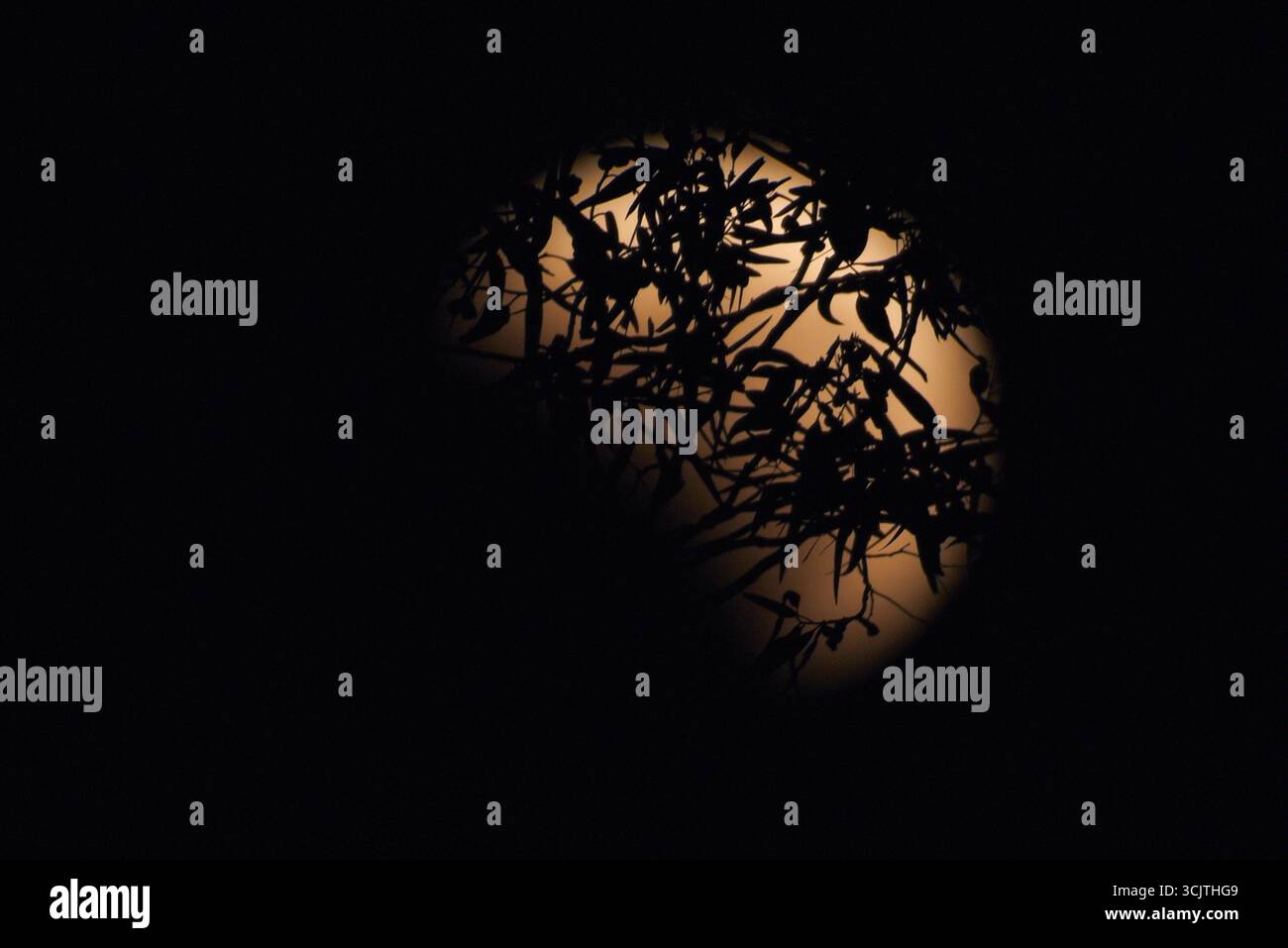 Melbourne, Victoria, Australia. 8 settembre 2025. La luna piena ritorna alla fase di eclissi parziale dopo la sua eclissi totale durante il fenomeno dell'eclissi lunare totale della Luna di sangue come visto a Melbourne City, Victoria. La luna piena dipinta di rosso è vista come la seconda eclissi lunare totale dell'anno in cui la luna si trova in profondità nella parte più oscura della Terra dell'ombra del nostro pianeta, creando una drammatica ''luna di sangue'' Un'eclissi lunare totale della Luna di sangue è stata visibile il 7/8 settembre 2025. Osservatori con sede in Pakistan, India, Cina, Russia, Australia e nuova Zelanda, Africa orientale e nelle regioni circostanti centr Foto Stock