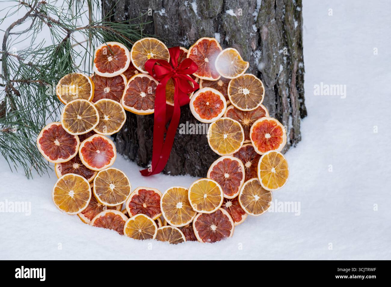 Corona di Natale fatta a mano con fette di pompelmo d'arancia secca. Decorazioni natalizie nelle giornate invernali innevate all'aperto. Regalo per le vacanze sostenibile e responsabile. Spazio di copia del biglietto di auguri per il testo Foto Stock