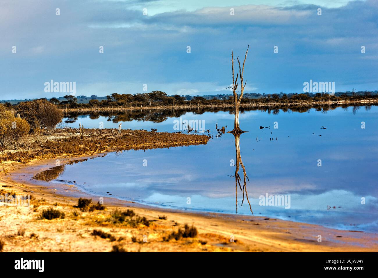 Lago Ninan, Australia Occidentale Foto Stock