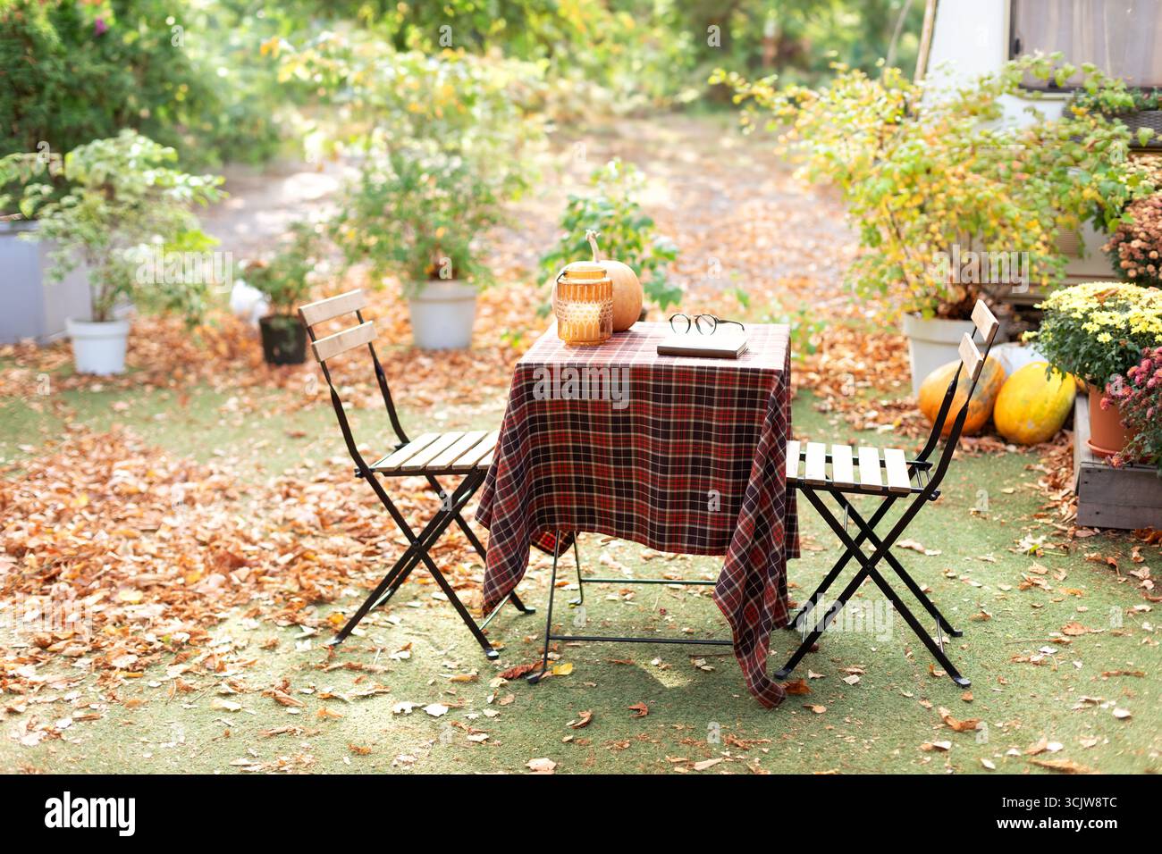 Accogliente giardino esterno autunnale - tavolo e sedia, libri, fiori, foglie cadute. Casa sul retro con mobili da giardino, decorazioni autunnali e piante e zucche. Foto Stock