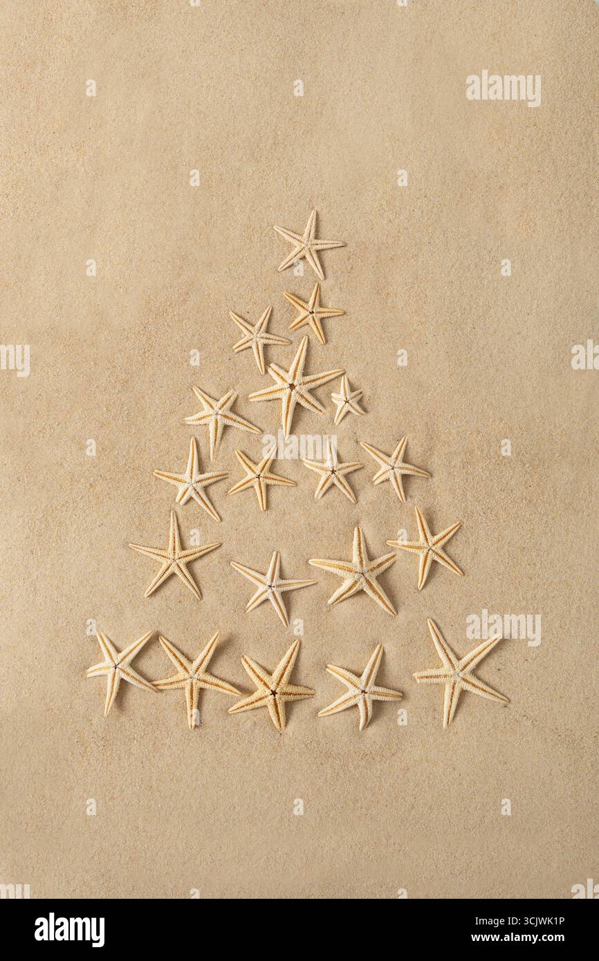 Albero di Natale creativo dalle conchiglie e stelle marine sullo sfondo di sabbia. Tema spiaggia e vacanza, atmosfera festosa costiera. Foto Stock