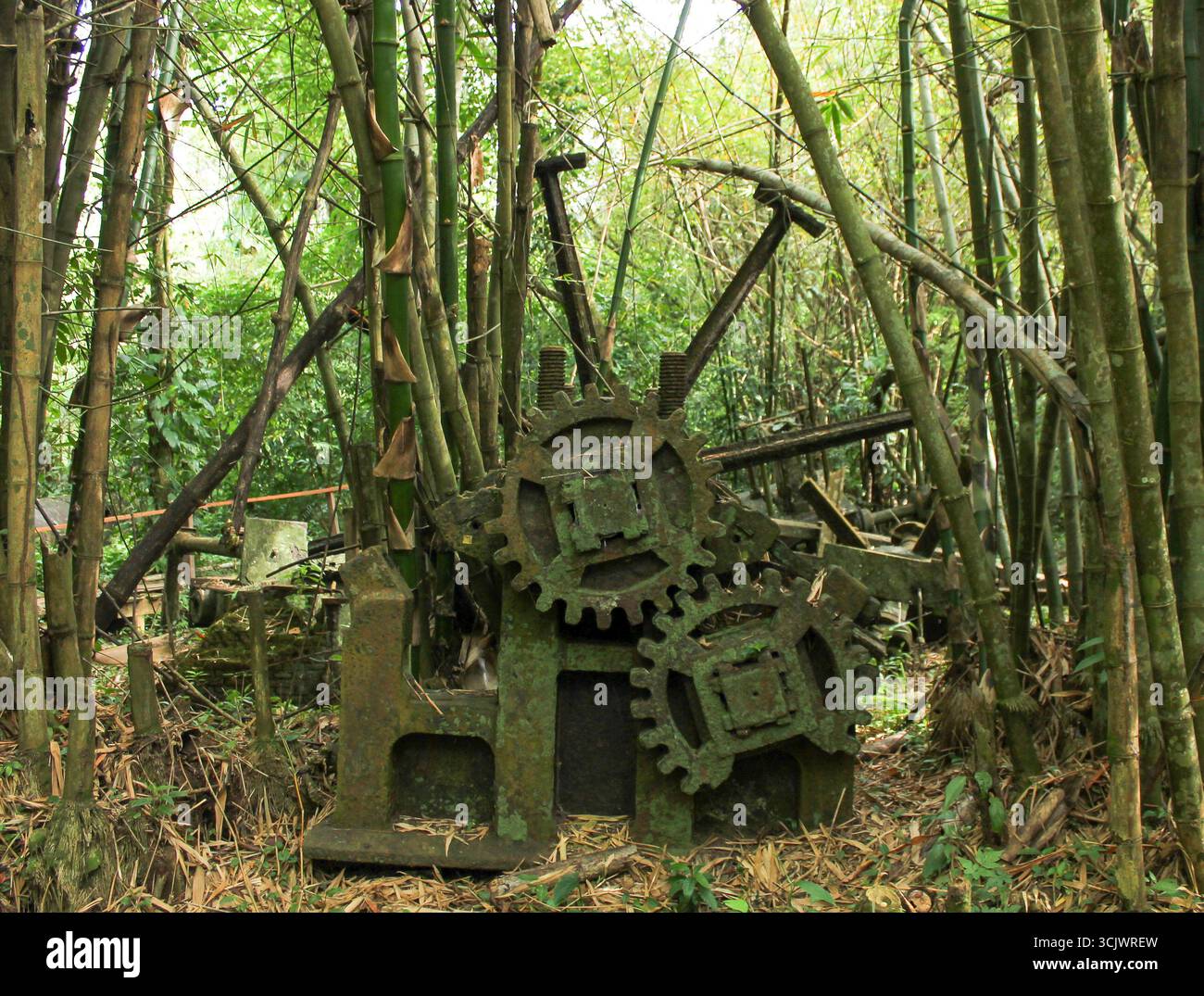 Parti vecchie di macchine diventate verdi sulla storica Plantation Reynsdorp (Bakkie), Suriname Foto Stock