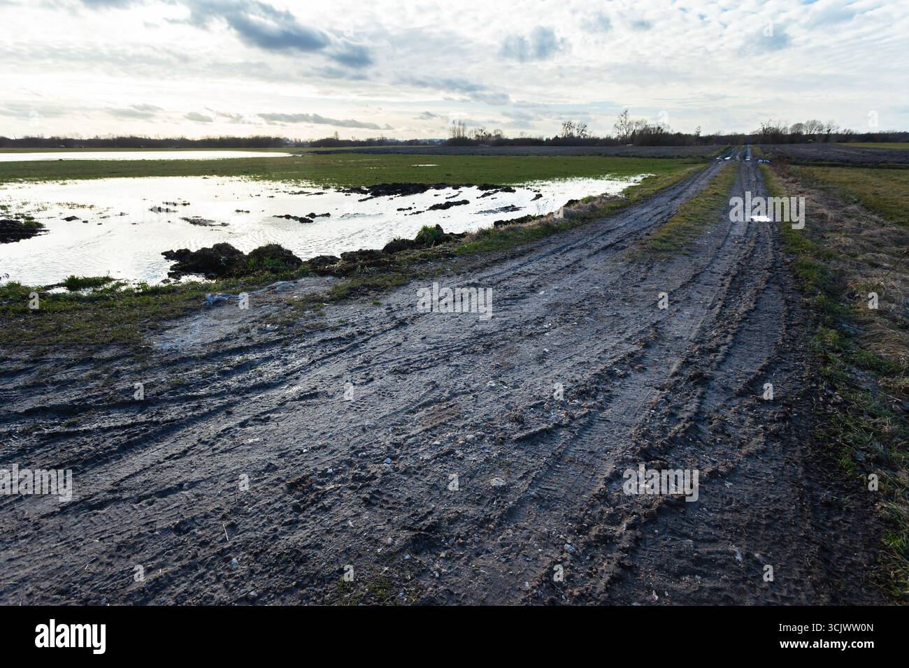 Strada laterale buia e fangosa e prato con pozzanghera Foto Stock