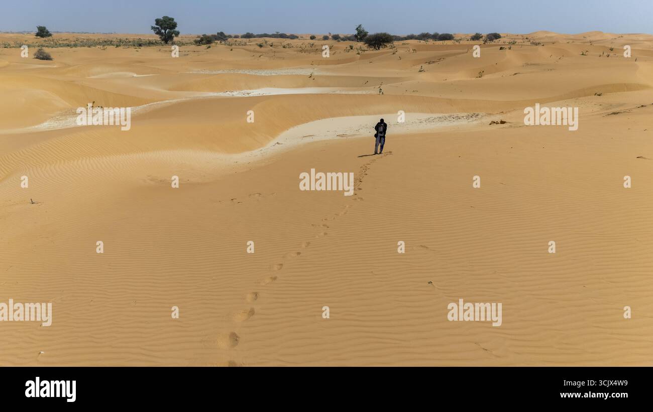 Yusufari, Nigeria - 01 febbraio 2025: Veduta aerea di una figura solitaria che cammina attraverso dune di sabbia dorata ondulate sotto un vasto cielo senza nuvole, impronte che si dirigono dietro, verso una lontana vegetazione sparsa. Foto Stock
