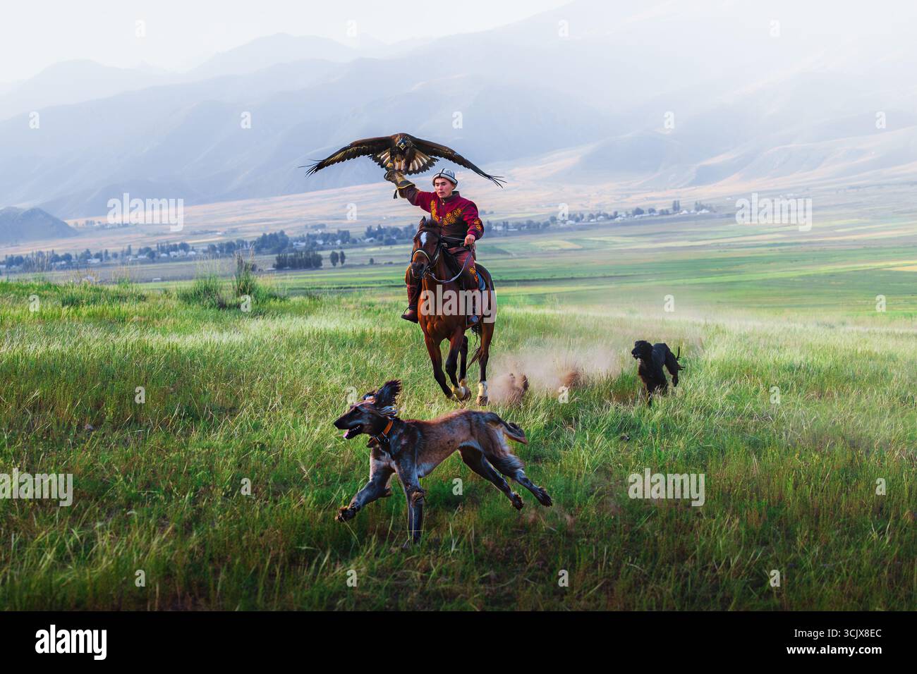 Karakol, Kirghizistan - 12 agosto 2025: Vista di un cavaliere con un'aquila dorata, accompagnato da cani, che galoppano attraverso un campo verde vibrante sotto un vasto cielo nebbioso. Foto Stock