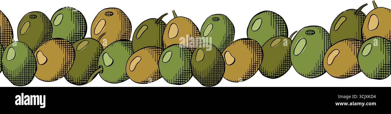 Bordo orizzontale senza cuciture a bacca verde oliva. Illustrazione colorata con inchiostro a linee grafiche vettoriali. Frutta a olio greca, raccolto agricolo. Fregio orizzontale inchiostro artistico. Illustrazione Vettoriale