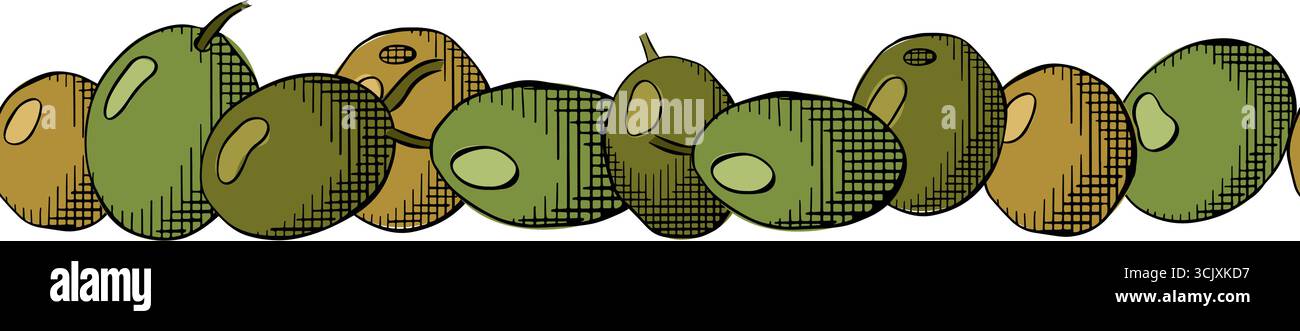 Bordo orizzontale senza cuciture per frutti di oliva. Illustrazione colorata con inchiostro a linee grafiche vettoriali. Raccolto di olio greco. Albero mediterraneo vettoriale su trasparente Illustrazione Vettoriale