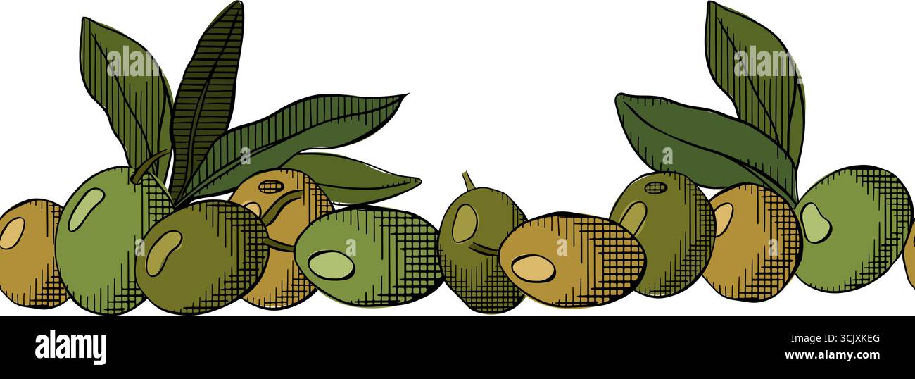 Frutti di oliva e foglie bordo orizzontale senza cuciture. Inchiostro a linee grafiche vettoriali colorato. sfondo per striscioni, stampa per tessuti, etichette, t Illustrazione Vettoriale