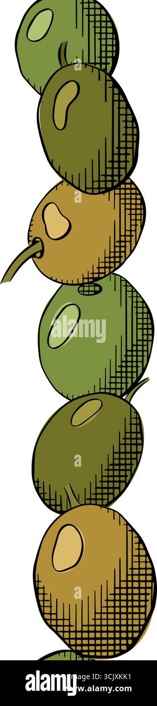 Bordo verticale senza cuciture per frutti di oliva. Illustrazione colorata con inchiostro a linee grafiche vettoriali. Raccolto di olio greco. Albero mediterraneo vettoriale su trasparente Illustrazione Vettoriale