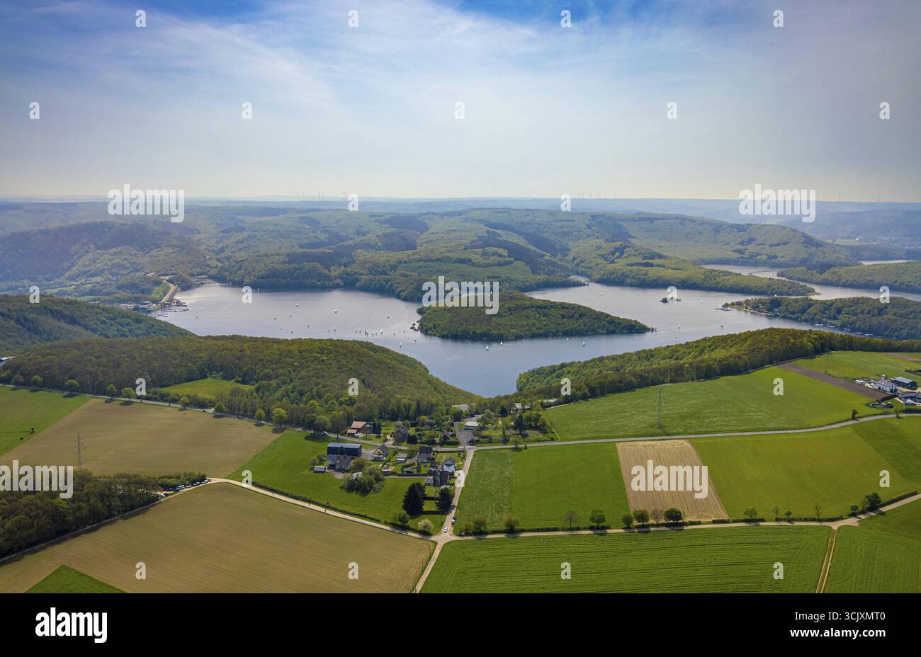 Vista aerea, Rursee con l'isola di Eichert, la diga di Rur Schwammenauel e la navigazione Rursee con barche a vela, di fronte alla tenuta residenziale Scheidbaum, fores Foto Stock Vista aerea, Rursee con l'isola di Eichert, la diga di Rur Schwammenauel e la navigazione Rursee con barche a vela, di fronte alla tenuta residenziale Scheidbaum, fores Foto Stock