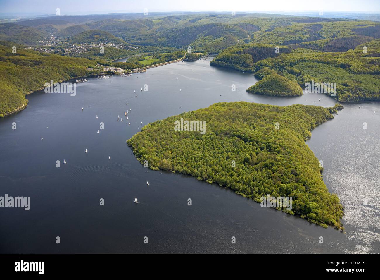 Veduta aerea, Rursee con l'isola di Eichert, parete diga Rurtalsperre Schwammenauel e navigazione Rursee con barche a vela, colline e valli della zona forestale, Foto Stock Veduta aerea, Rursee con l'isola di Eichert, parete diga Rurtalsperre Schwammenauel e navigazione Rursee con barche a vela, colline e valli della zona forestale, Foto Stock