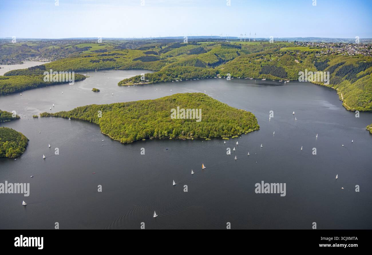 Vista aerea, Rursee con l'isola di Eichert, la diga di Rur Schwammenauel e la navigazione Rursee con barche a vela, colline e valli della foresta, Eifel National Foto Stock Vista aerea, Rursee con l'isola di Eichert, la diga di Rur Schwammenauel e la navigazione Rursee con barche a vela, colline e valli della foresta, Eifel National Foto Stock
