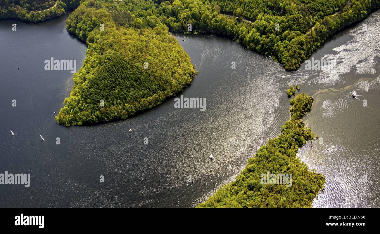 Vista aerea, Rursee Rurtalsperre e zone costiere boscose, Rursee con punta dell'isola Eichert e penisola Tonsberg e barche a vela in controluce, Foto Stock Vista aerea, Rursee Rurtalsperre e zone costiere boscose, Rursee con punta dell'isola Eichert e penisola Tonsberg e barche a vela in controluce, Foto Stock