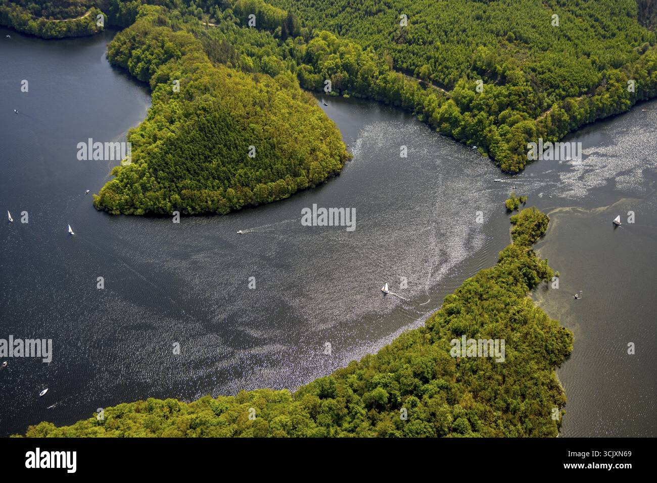 Vista aerea, Rursee Rurtalsperre e zone costiere boscose, Rursee con punta dell'isola Eichert e penisola Tonsberg e barche a vela in controluce, Foto Stock Vista aerea, Rursee Rurtalsperre e zone costiere boscose, Rursee con punta dell'isola Eichert e penisola Tonsberg e barche a vela in controluce, Foto Stock