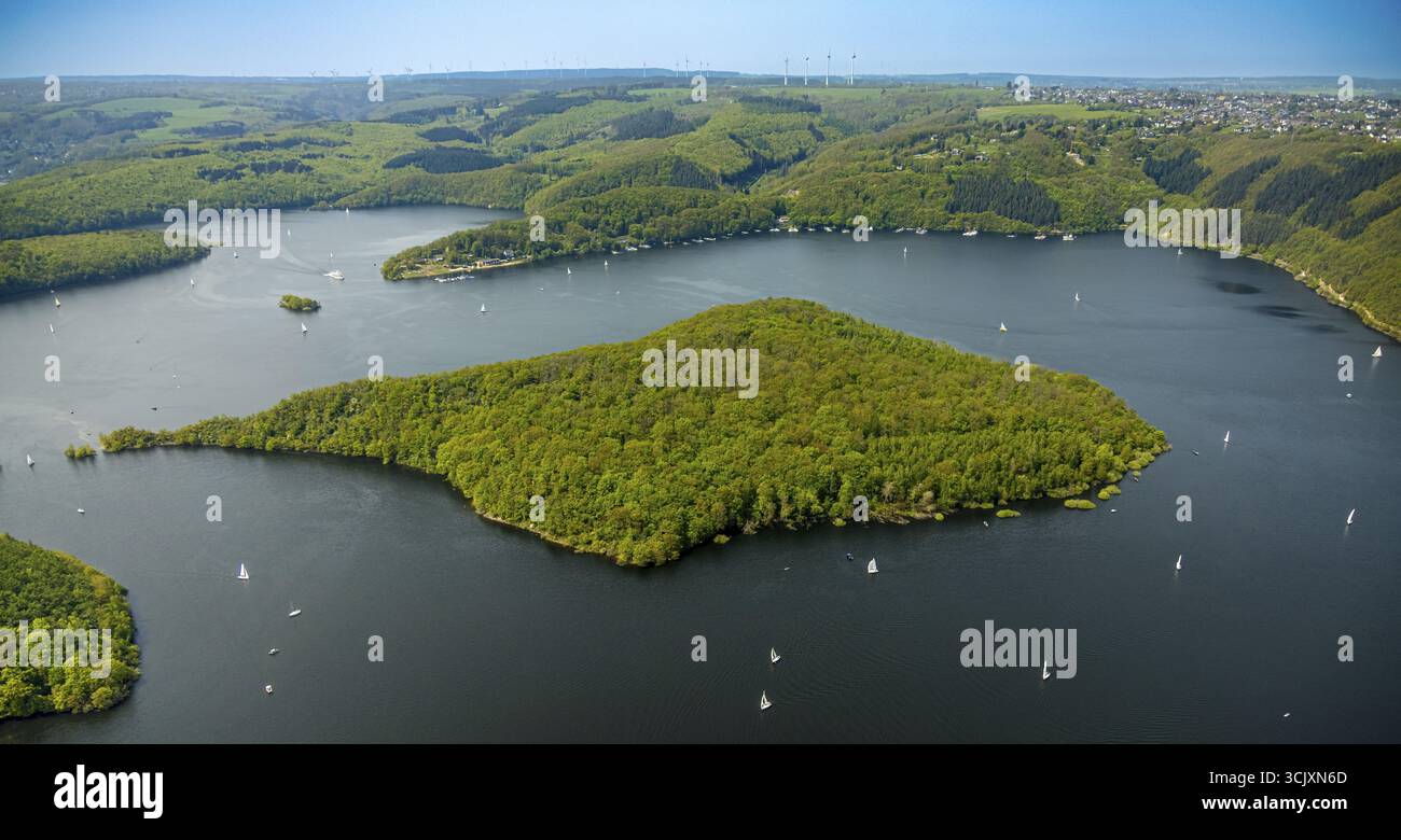 Vista aerea, Rursee con l'isola di Eichert, la diga di Rur Schwammenauel e la navigazione Rursee con barche a vela, colline e valli della foresta, Eifel National Foto Stock Vista aerea, Rursee con l'isola di Eichert, la diga di Rur Schwammenauel e la navigazione Rursee con barche a vela, colline e valli della foresta, Eifel National Foto Stock