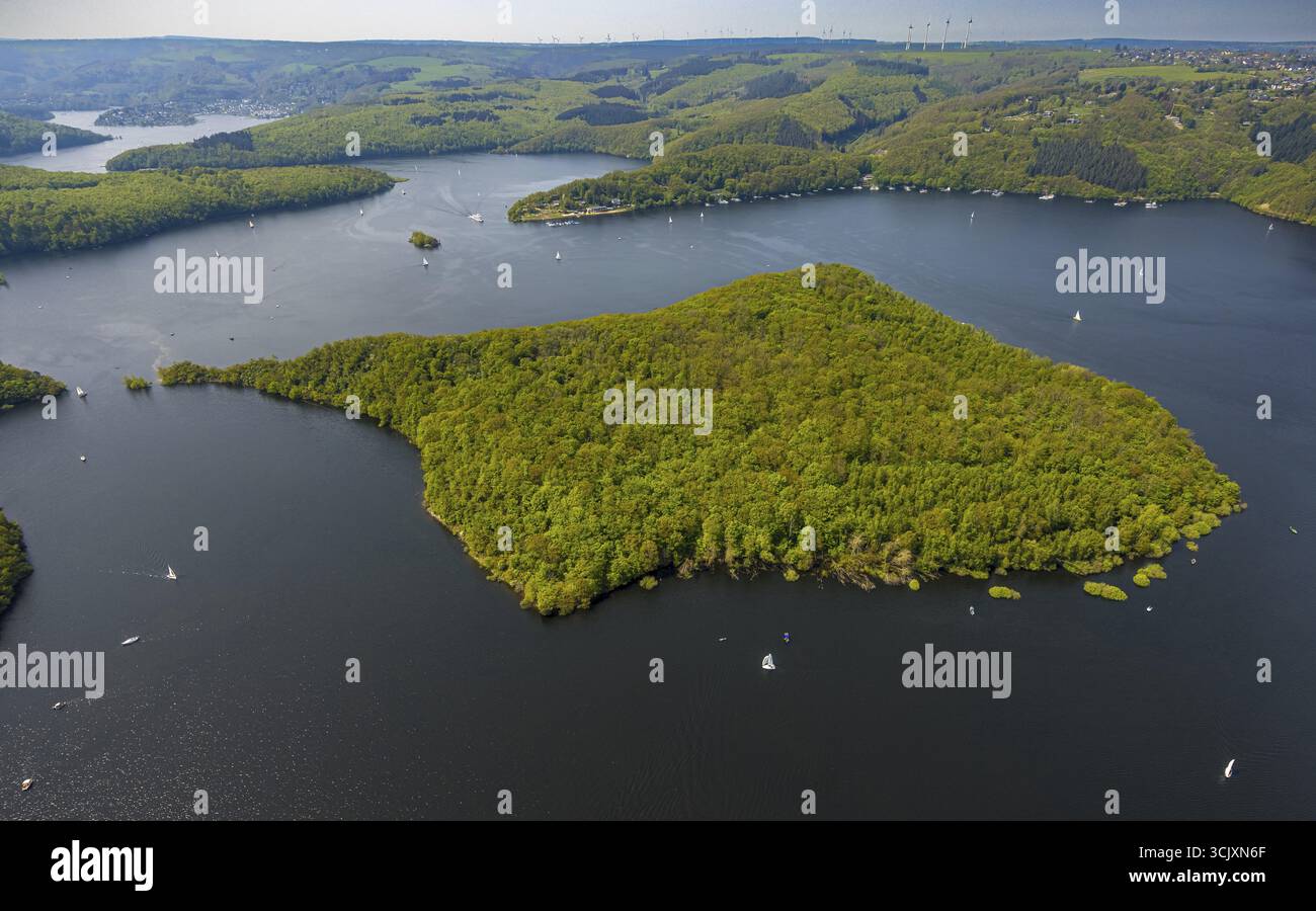 Vista aerea, Rursee con l'isola di Eichert, la diga di Rur Schwammenauel e la navigazione Rursee con barche a vela, colline e valli della foresta, Eifel National Foto Stock Vista aerea, Rursee con l'isola di Eichert, la diga di Rur Schwammenauel e la navigazione Rursee con barche a vela, colline e valli della foresta, Eifel National Foto Stock