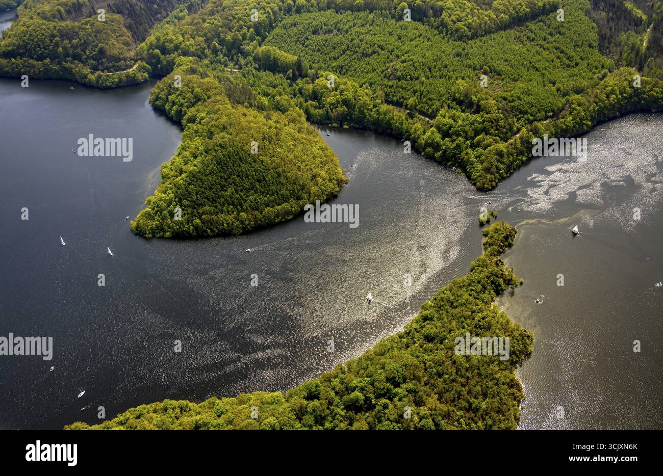 Vista aerea, Rursee Rurtalsperre e zone costiere boscose, Rursee con punta dell'isola Eichert e penisola Tonsberg e barche a vela in controluce, Foto Stock Vista aerea, Rursee Rurtalsperre e zone costiere boscose, Rursee con punta dell'isola Eichert e penisola Tonsberg e barche a vela in controluce, Foto Stock