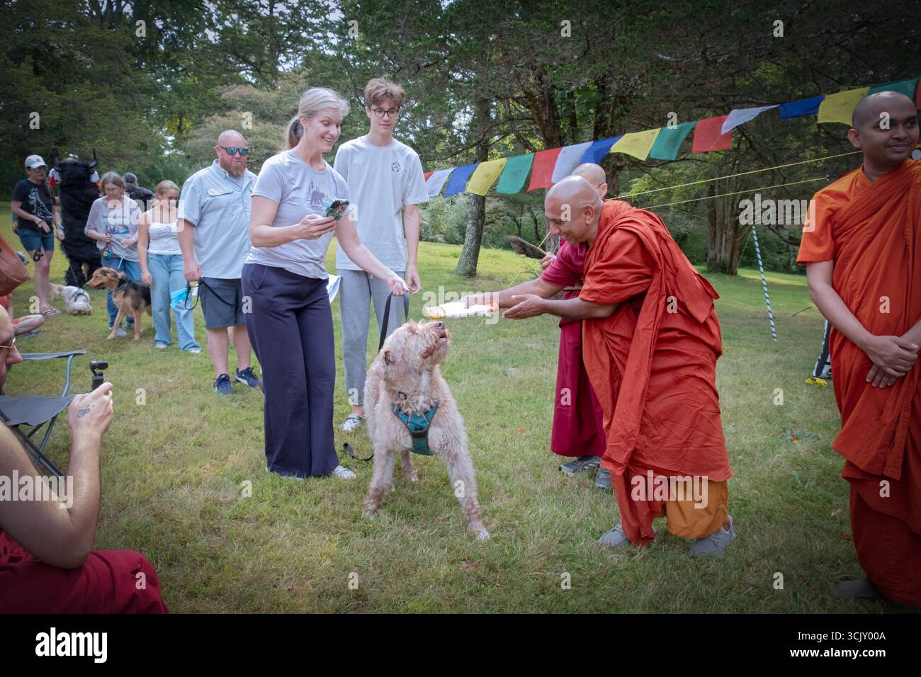 Ad un festival buddista tibetano a Redding i monaci CT e una suora conducono la loro seconda Benedizione annuale degli animali, qui un cane. Foto Stock