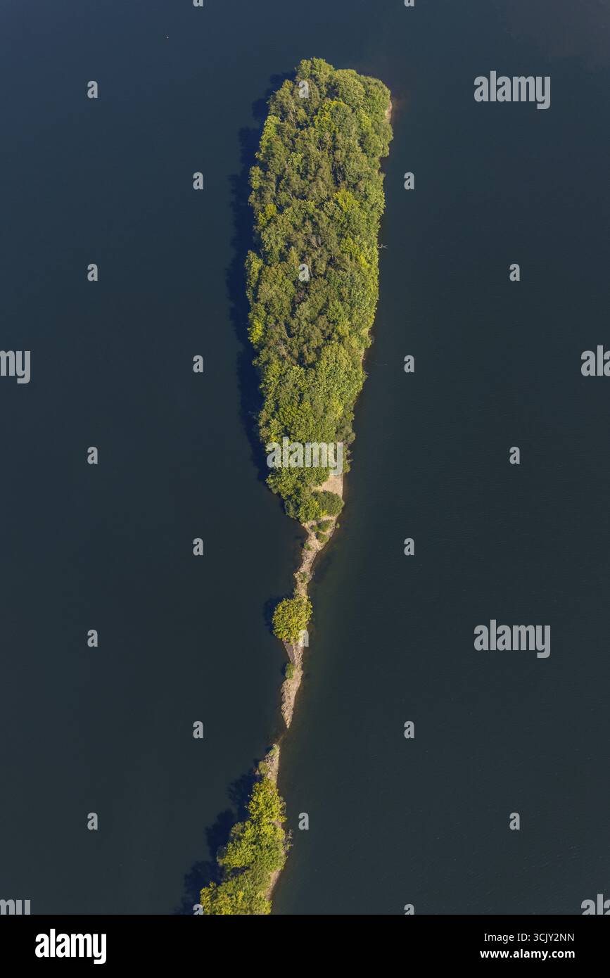 Vista aerea, Ennepetalsperre con isola boscosa, confine con la città Ennepetal, Bossel, Breckerfeld, zona della Ruhr, Renania settentrionale-Vestfalia, Germania, Ennepetalsper Foto Stock
