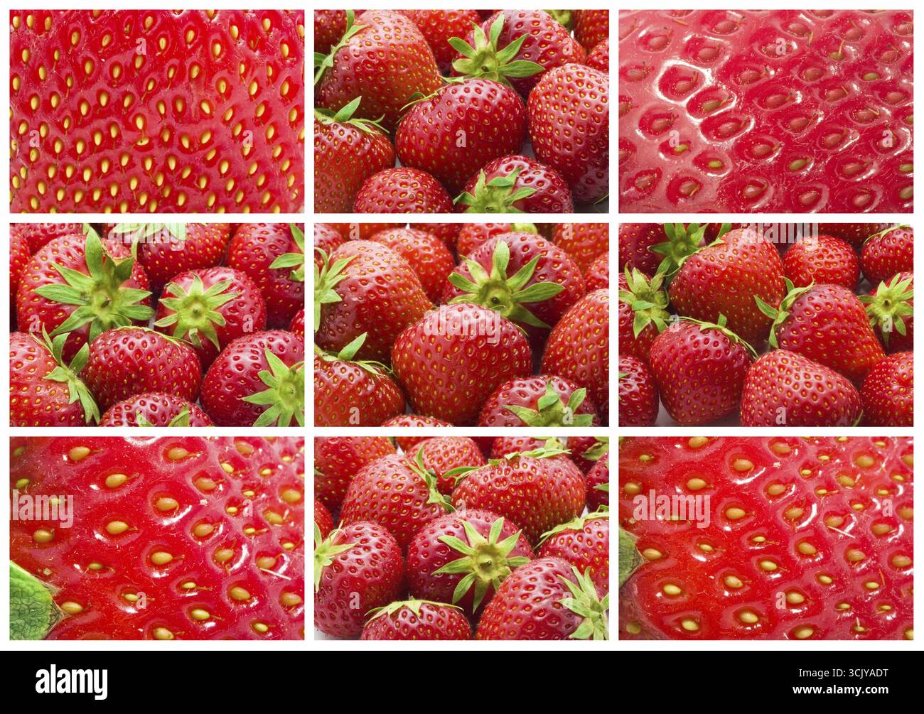 Raccolta di fragole dolci rendendo nice background Foto Stock