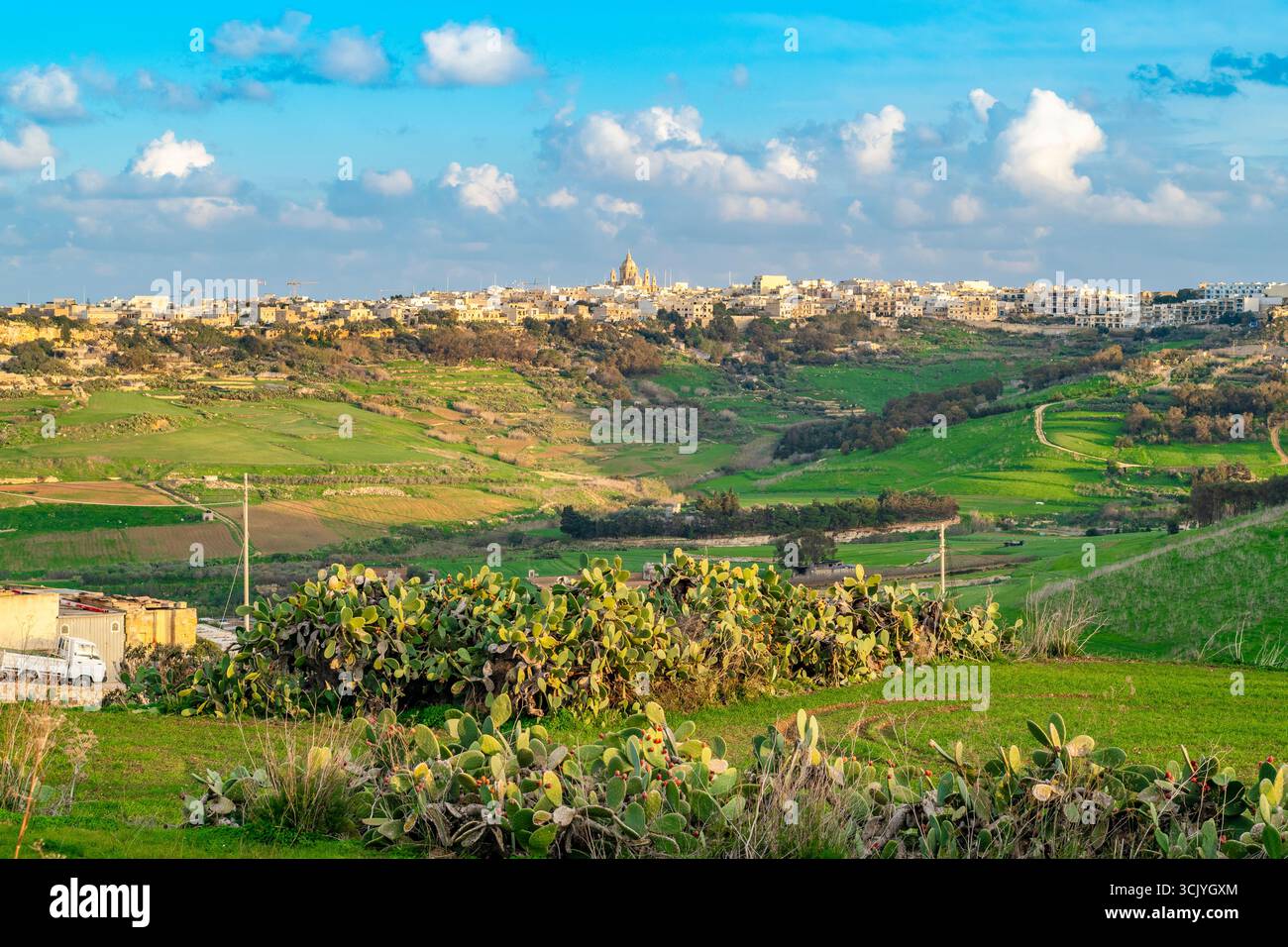 Splendida vista della natura a Gozo con Victoria o Rabat all'orizzonte, l'isola di Gozo, Malta Foto Stock