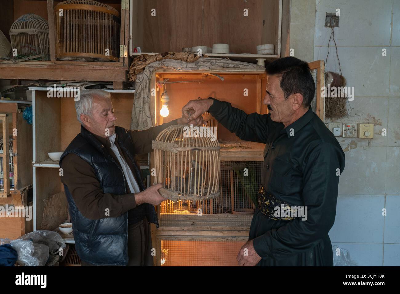 Jawhar, un uomo del Kurdistan che vive nella città di Ranya, ama allevare uccelli di montagna. Foto Stock