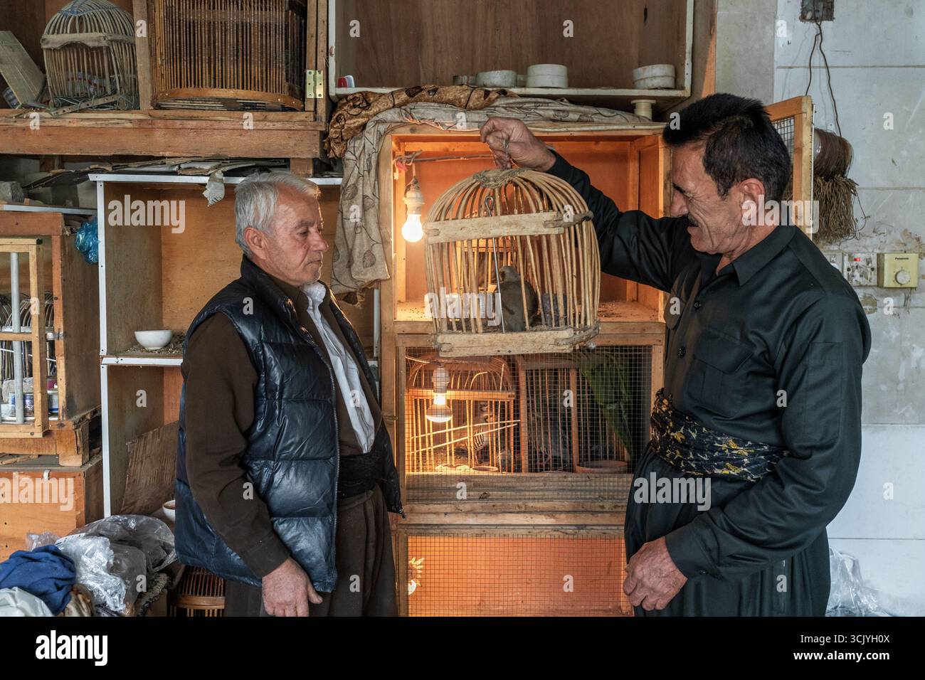 Jawhar, un uomo del Kurdistan che vive nella città di Ranya, ama allevare uccelli di montagna. Foto Stock