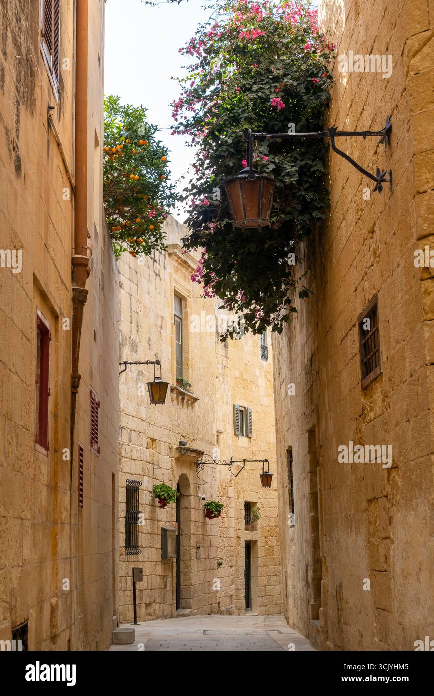 Splendida strada storica a Marsaxlokk, Malta, in un giorno di sole Foto Stock
