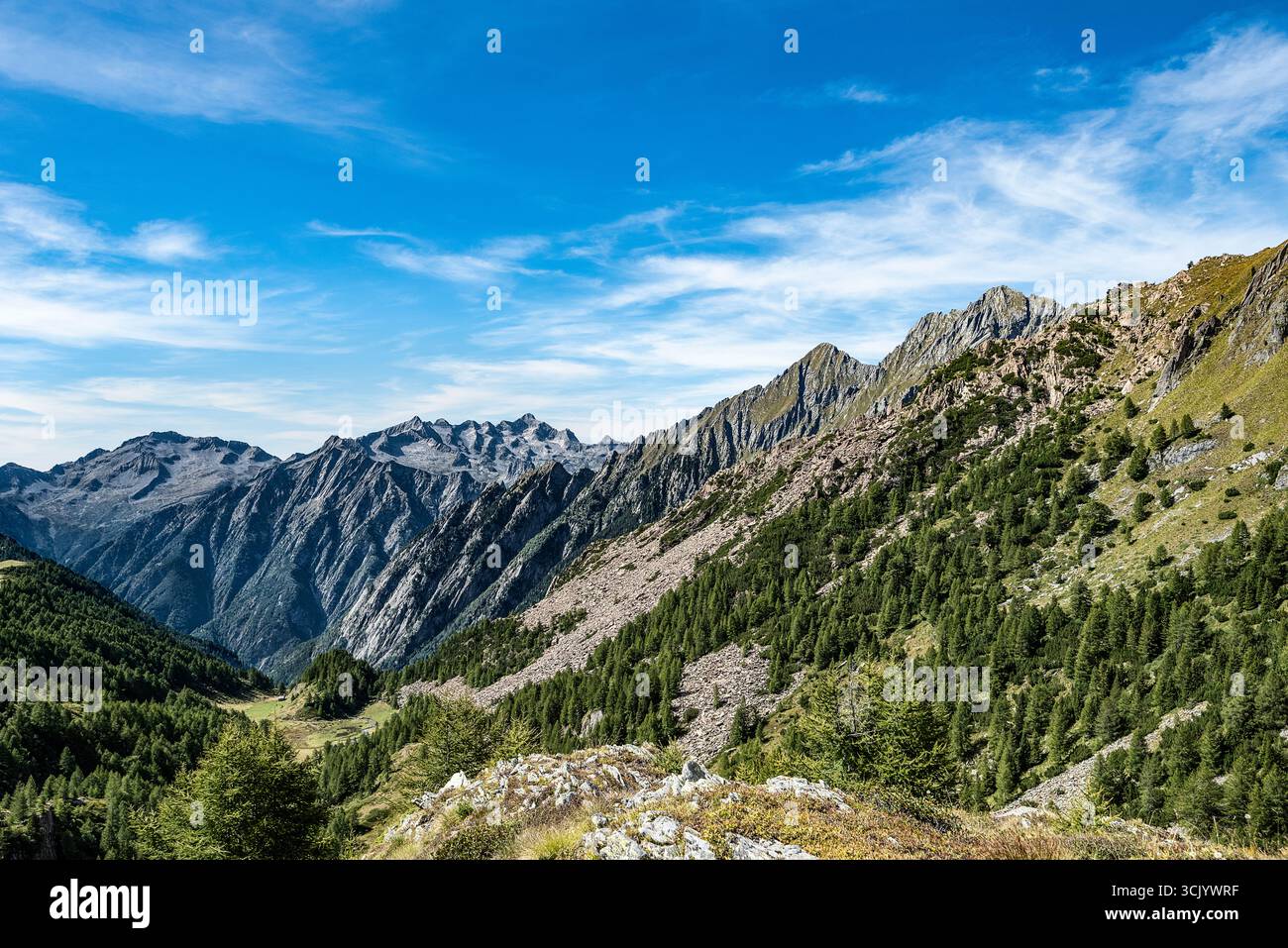 Paesaggio della Val Masino nella stagione estiva Foto Stock