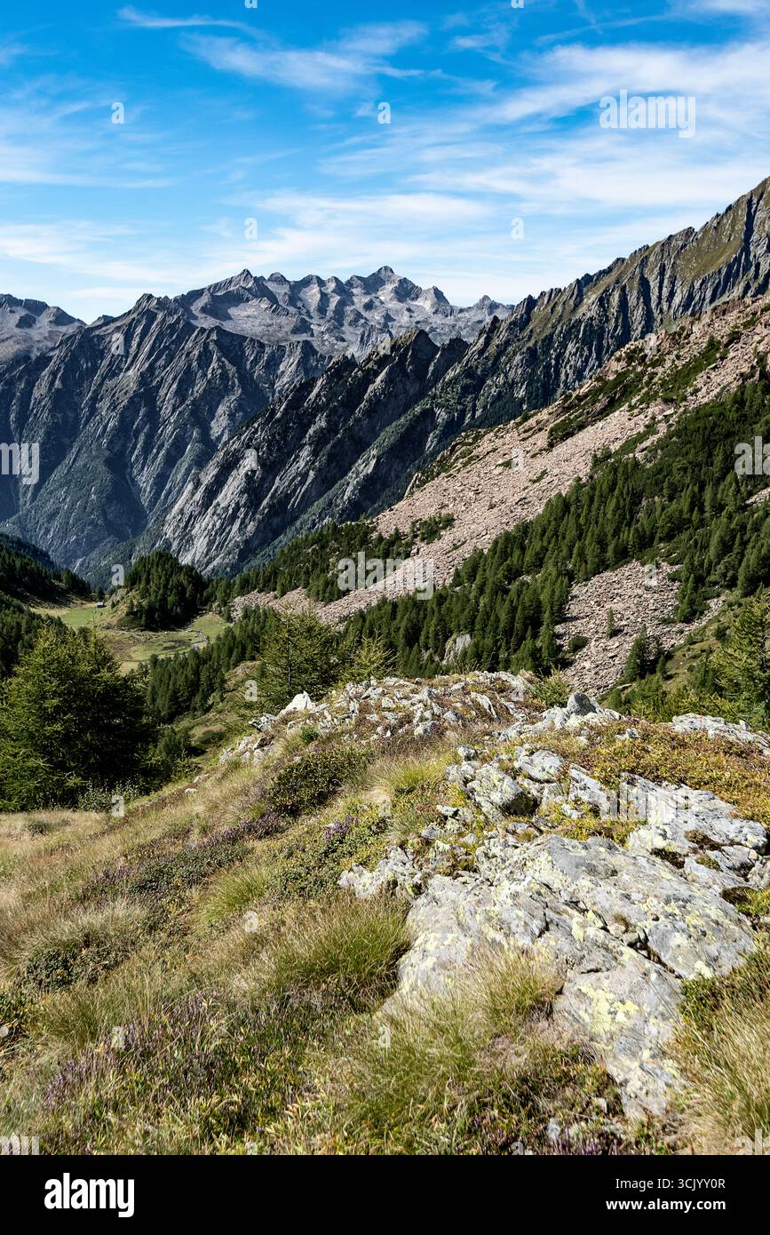 Paesaggio della Val Masino nella stagione estiva Foto Stock