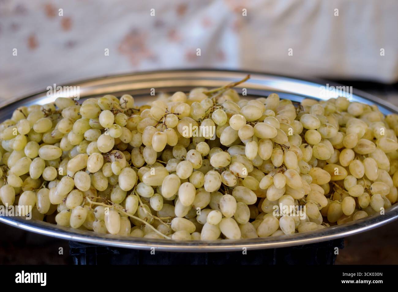 Agricoltura biologica, pomodori, fagioli, uva, prugne, zucchine, cetrioli, deliziosi e freschi prodotti da campo e da giardino provenienti dal mercato locale del villaggio Foto Stock