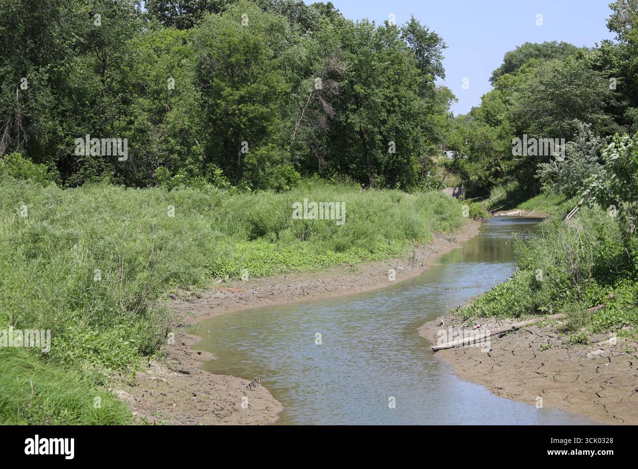shallow creek si snoda attraverso uno stretto canale di sponde di fango fitte fogliame e alberi durante il sole estivo Foto Stock