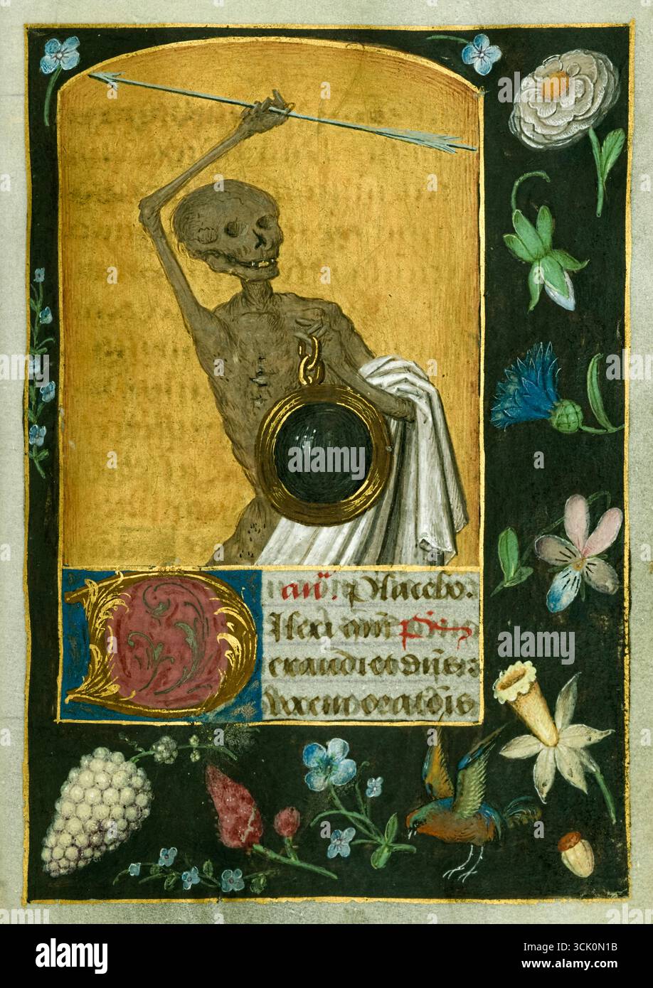 Scheletro con Freccia e specchio nero miniato dagli associati del Maestro di Antoine Rolin che mostra una figura scheletrica che tiene uno specchio nero e solleva una freccia, incorniciata da fiori, frutta e un uccello che mostra la brevità della vita. Fotografia di folio 17v dal Libro delle ore (uso di Roma) prodotta a Mons, Belgio intorno al 1490-1500. Credito: Walters Art Museum / Universal Art Archive Foto Stock