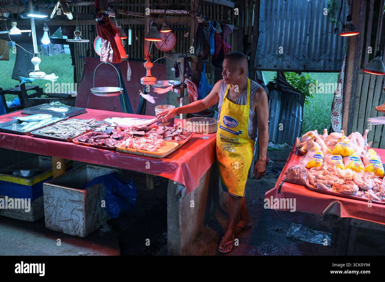 FILIPPINE, Isola di Mindanao, Bangsamoro regione autonoma in muslim Mindanao, città Cotabato, mercato, tonno fresco e pollo / PHILIPPINEN, Bangsamoro muslimische automome Region auf Mindanao, Cotabato Stadt, Markt, Links frischer Thunfisch, rechts Hühnerfleisch Foto Stock