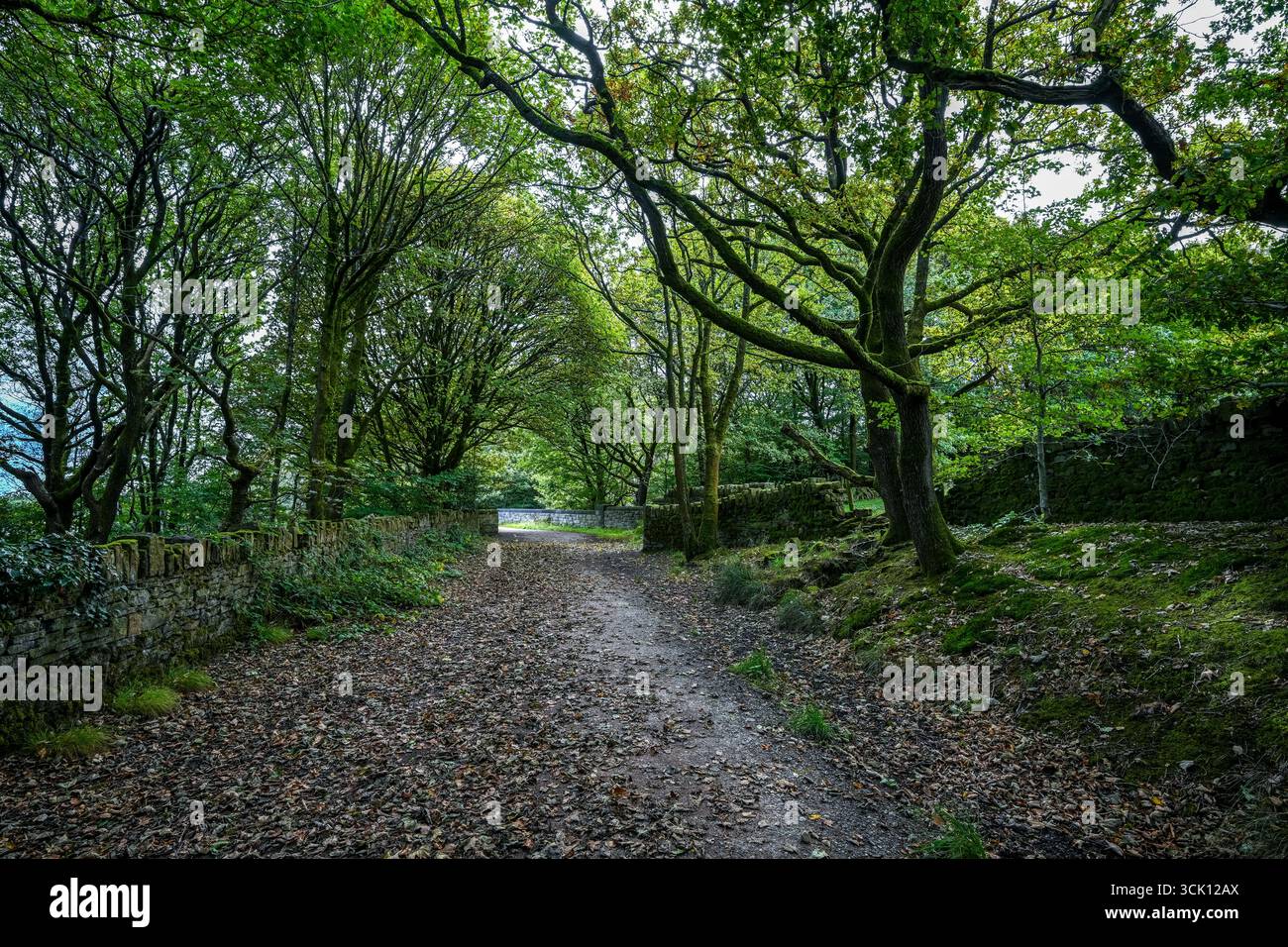 Strade di campagna di Rivington Lancashire Regno Unito, ideale per passeggiate ed equitazione, attività di svago e per i viaggiatori Foto Stock