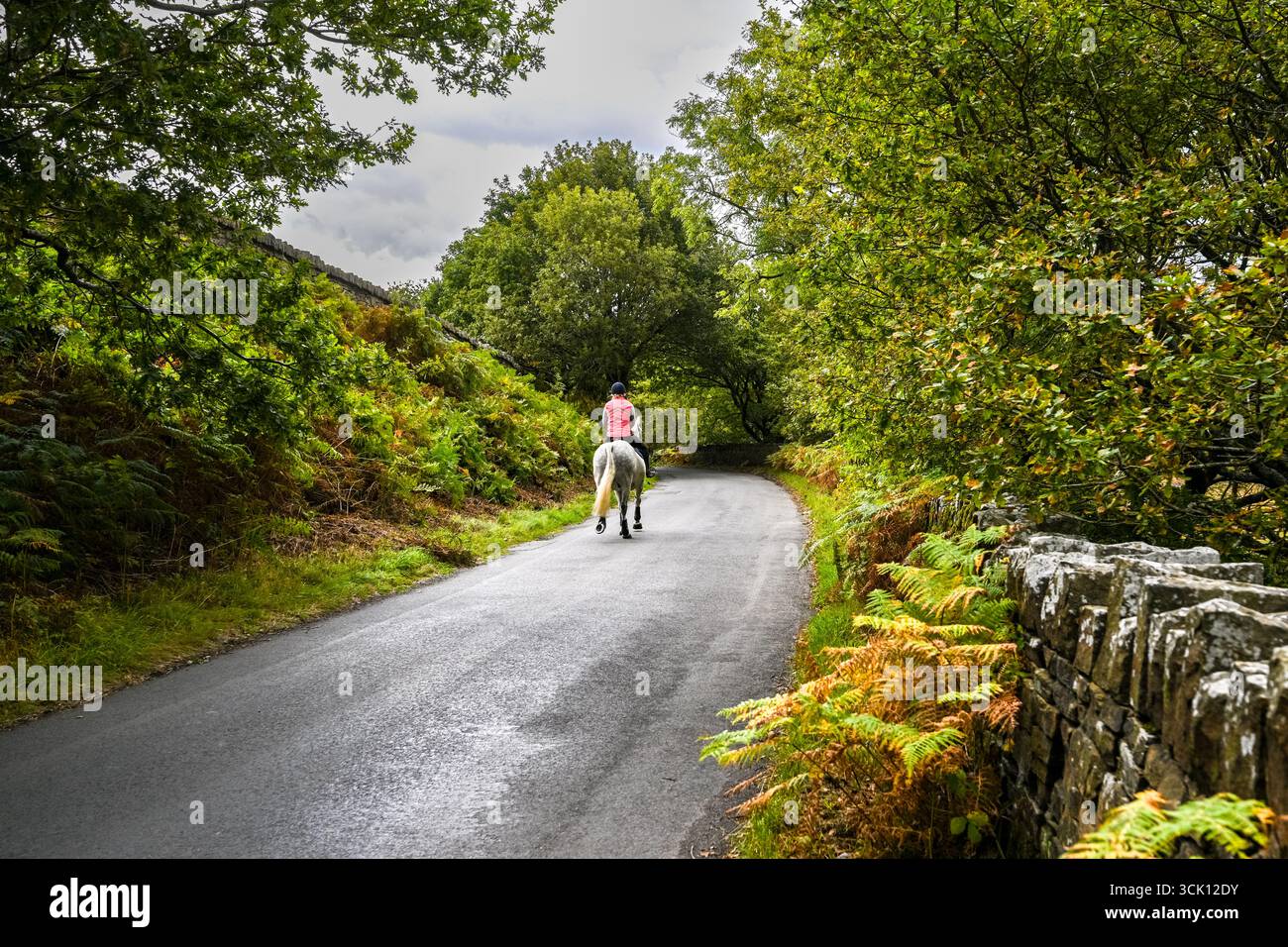 Strade di campagna di Rivington Lancashire Regno Unito, ideale per passeggiate ed equitazione, attività di svago e per i viaggiatori Foto Stock