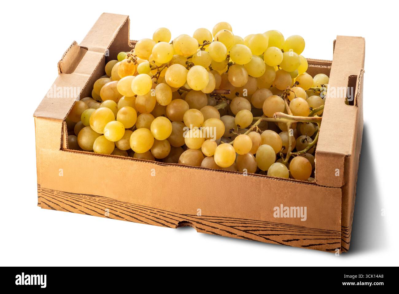 Mazzo di uva bianca da mangiare in una cassa di cartone isolata su bianco con percorso di ritaglio incluso Foto Stock