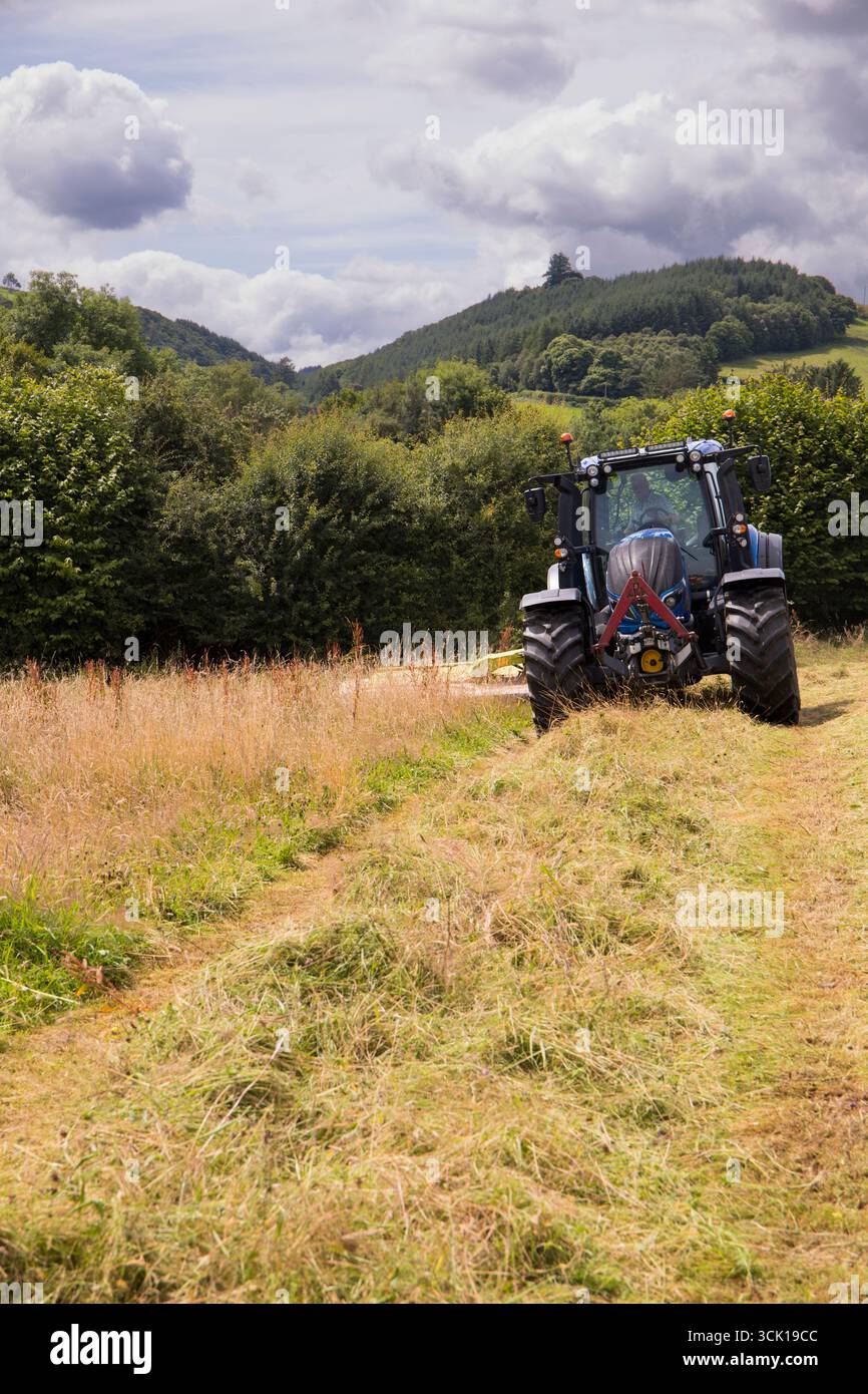 Appaltatore con un trattore Valtra e una falciatrice Claas disco che taglia erba per il fieno in un'azienda agricola biologica. Powys, Galles. Luglio. Foto Stock