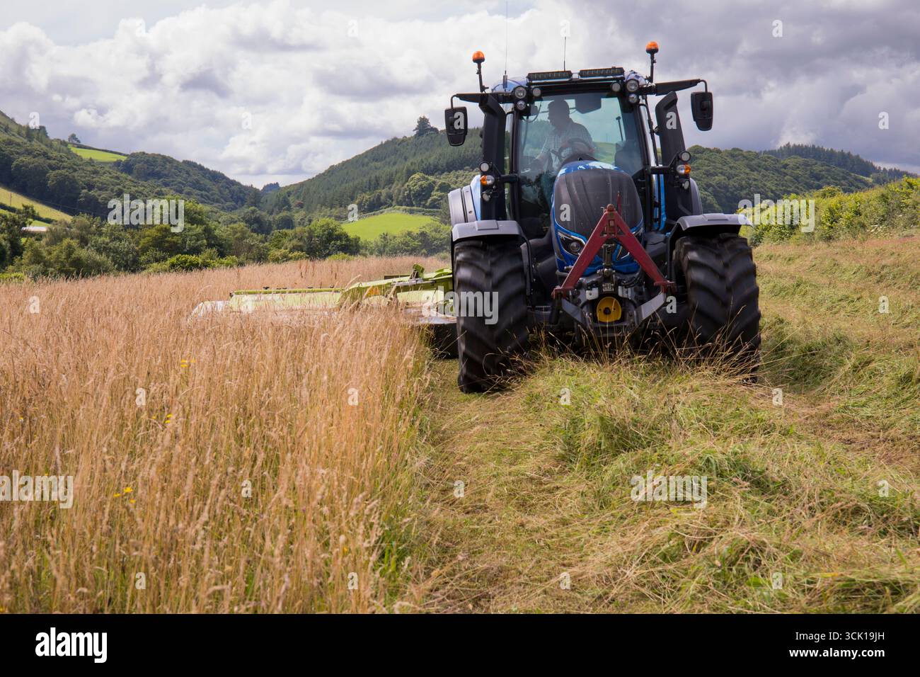 Appaltatore con un trattore Valtra e una falciatrice Claas disco che taglia erba per il fieno in un'azienda agricola biologica. Powys, Galles. Luglio. Foto Stock