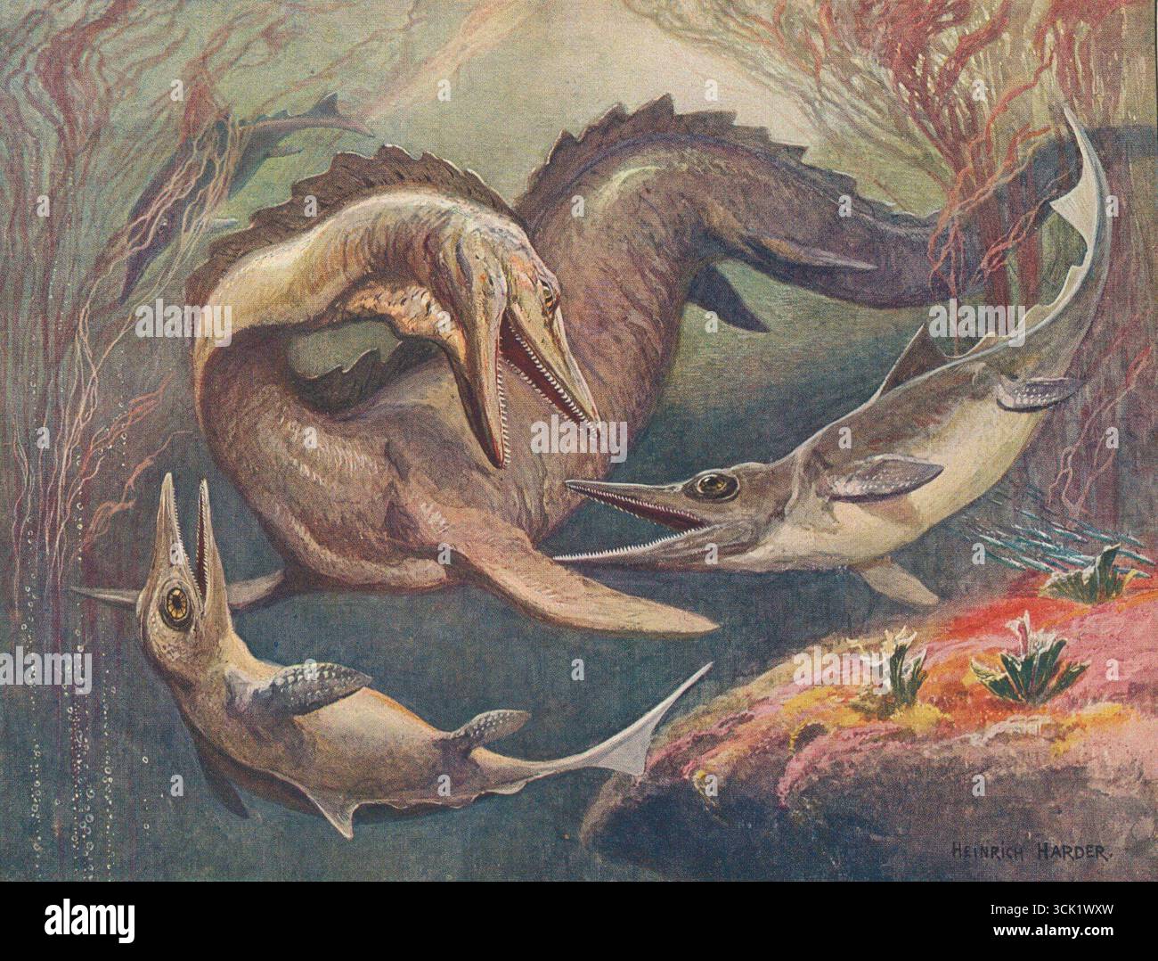 Heinrich Harder, Mosasaurus e ittiosauri, illustrazione per Die Wunder der Urwelt, 1912. Foto Stock