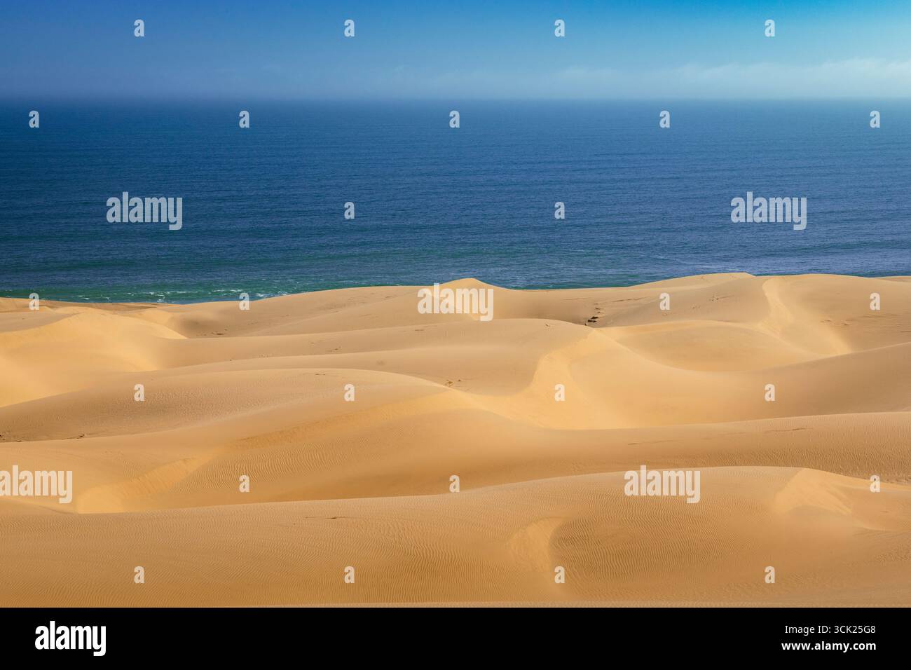 Namib-Naukluft National Park, dove il deserto incontra l'oceano Foto Stock